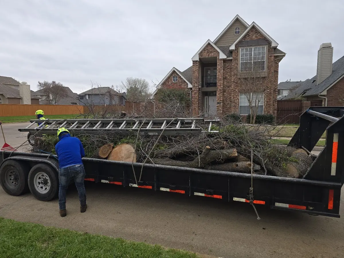Expert Lot Clearing with proper safety equipment in Ewing